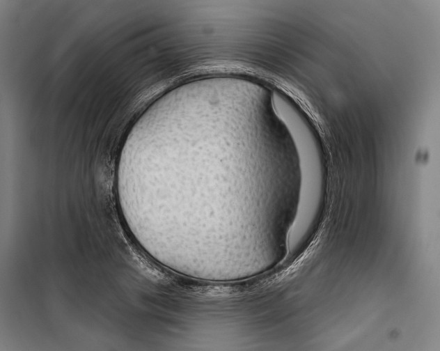 X0000099500841200806121414