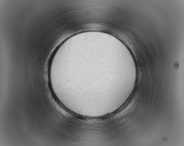 X0000099500843200806121414