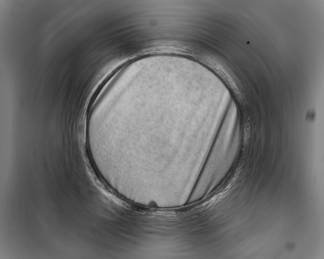 X0000099500844200806121414