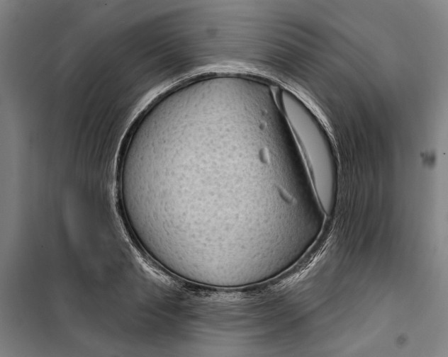 X0000099500845200806121414