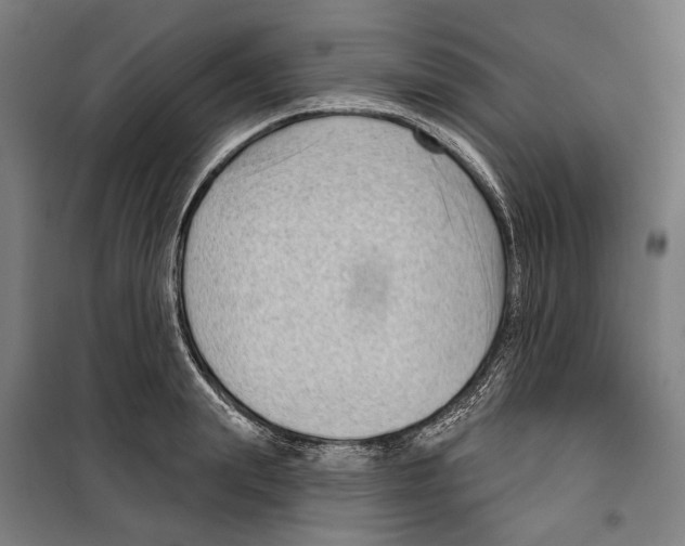 X0000099500847200806121414