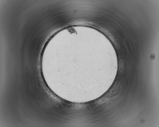 X0000099500848200806121414