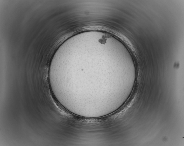 X0000099500849200806121414