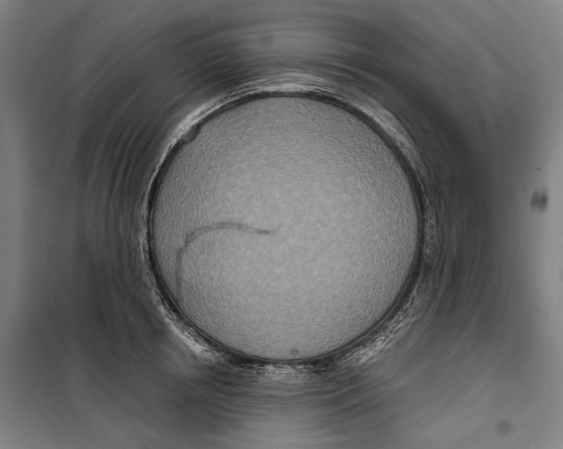 X0000099500850200806121414