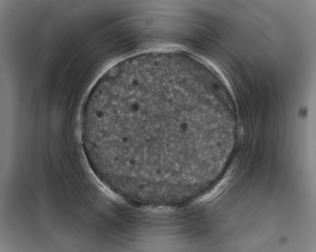 X0000099500851200806121414