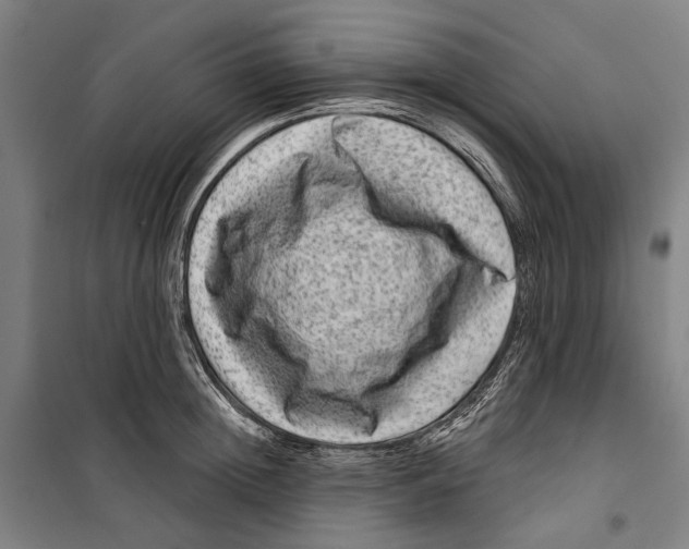 X0000099500852200806121414