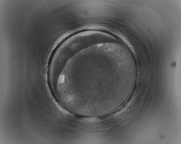 X0000099500853200806121414