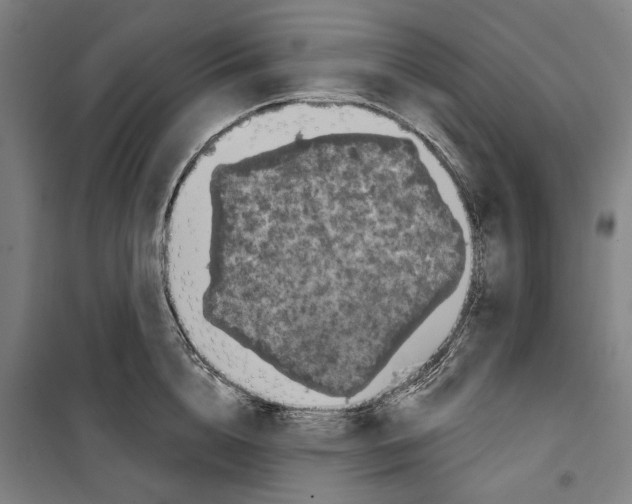 X0000099500856200806121414