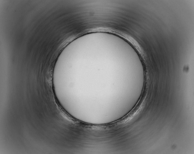 X0000099500857200806121414