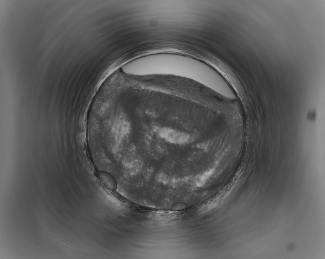 X0000099500858200806121414