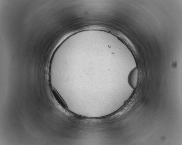 X0000099500860200806121414