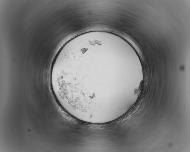 X0000099500861200806121414