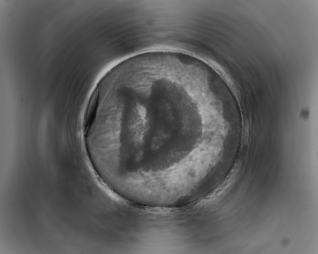 X0000099500862200806121414