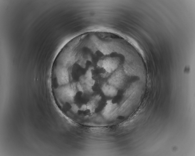 X0000099500863200806121414