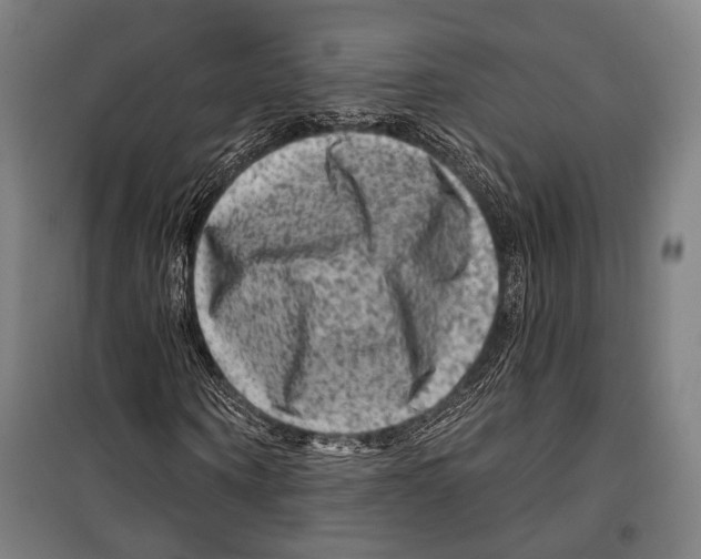 X0000099500866200806121413