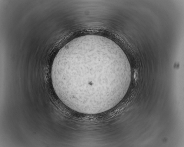 X0000099500867200806121413