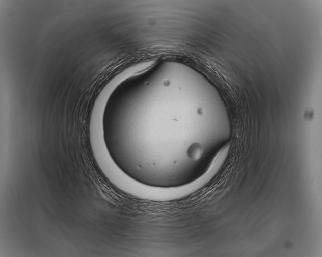 X0000099500868200806121413