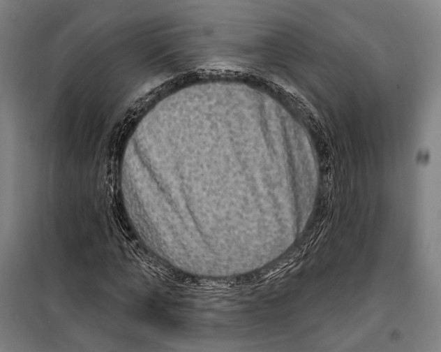 X0000099500870200806121413