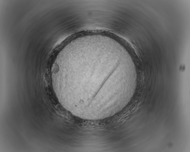 X0000099500871200806121413