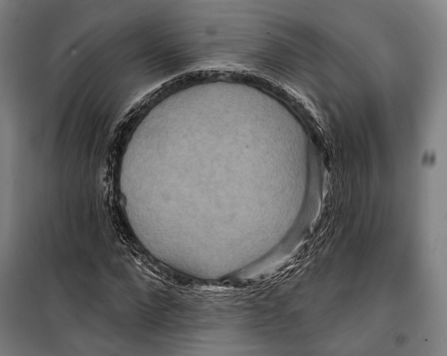 X0000099500872200806121413