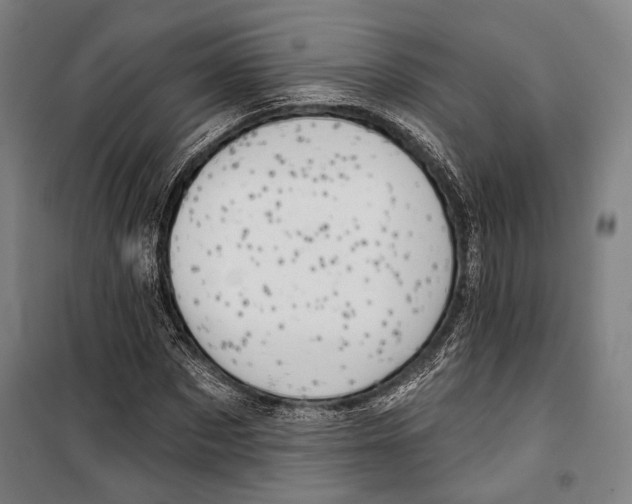 X0000099500873200806121413