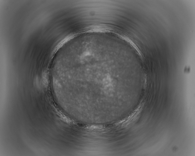 X0000099500874200806121413