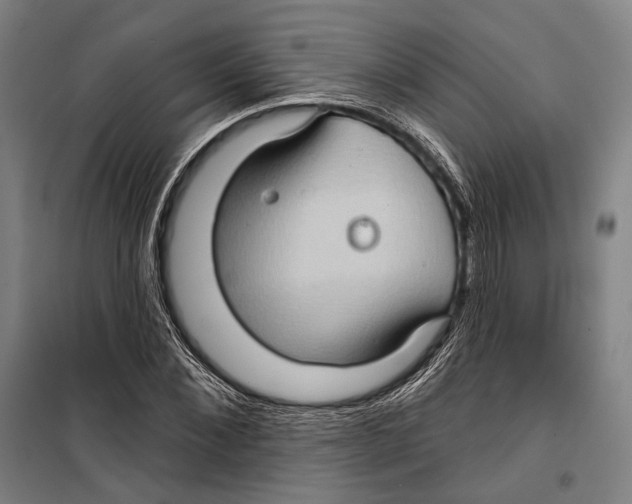 X0000099500876200806121413