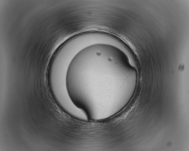 X0000099500877200806121413