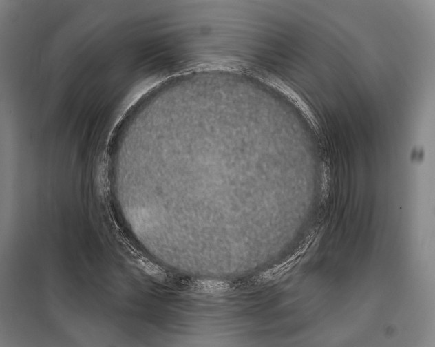 X0000099500878200806121413