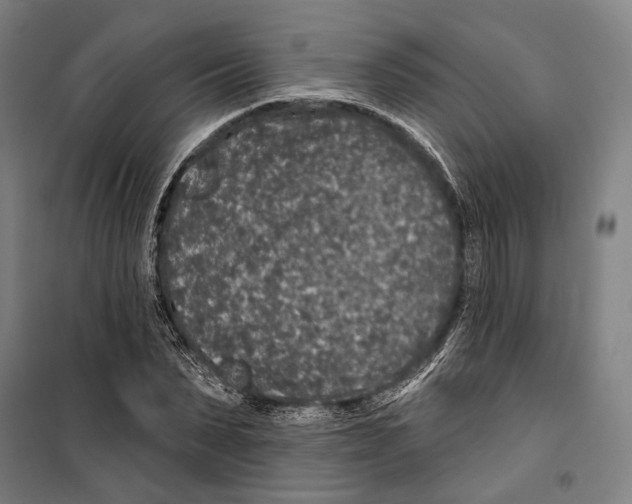 X0000099500879200806121413