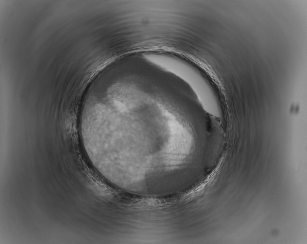 X0000099500881200806121413