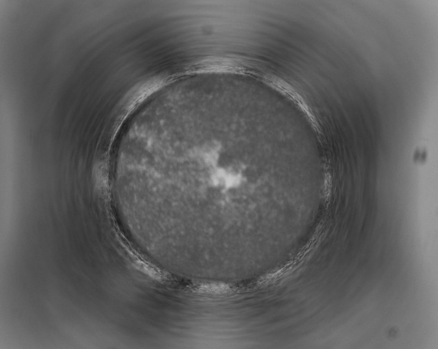 X0000099500882200806121413