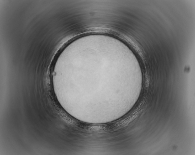 X0000099500883200806121413