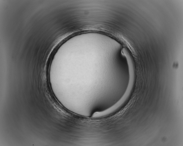 X0000099500884200806121413