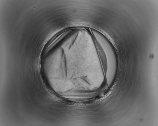 X0000099500885200806121413