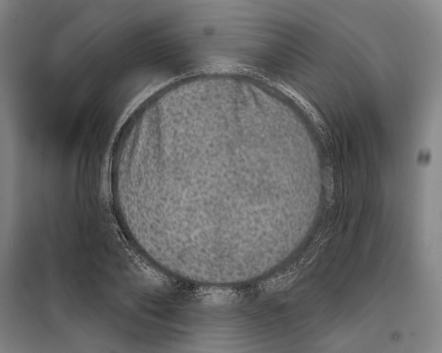 X0000099500886200806121413