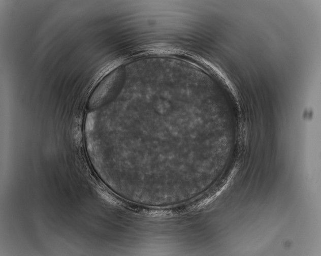 X0000099500889200806121413