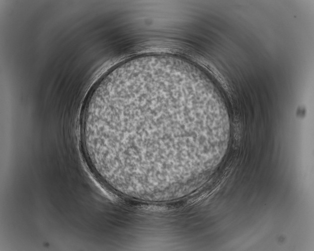 X0000099500890200806121413