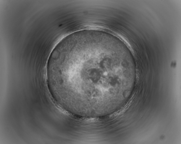 X0000099500891200806121413