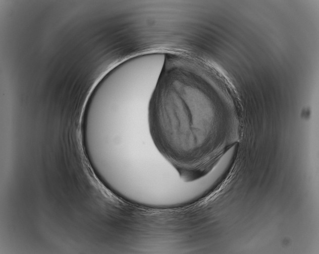 X0000099500892200806121413