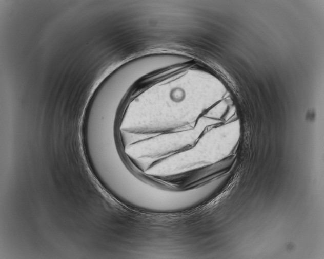 X0000099500893200806121413