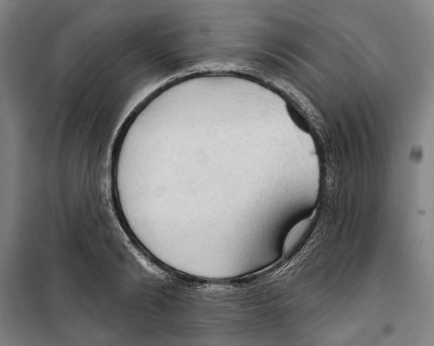 X0000099500894200806121413