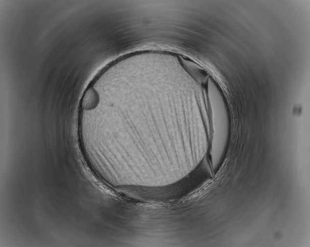 X0000099500896200806121413