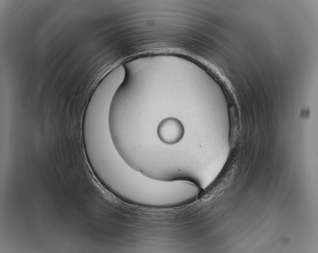 X0000099500897200806121413