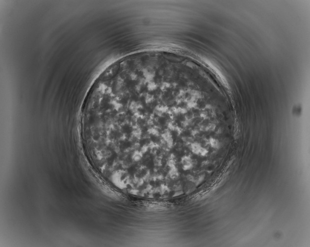 X0000099500899200806121413