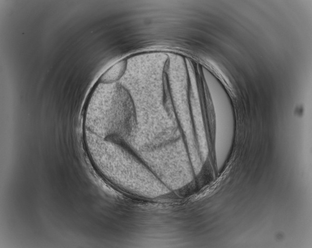 X0000099500900200806121413