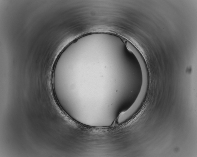 X0000099500901200806121413