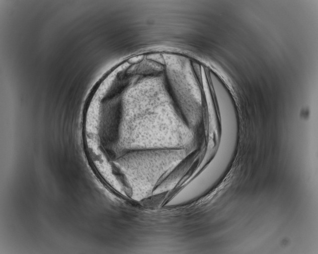 X0000099500902200806121413