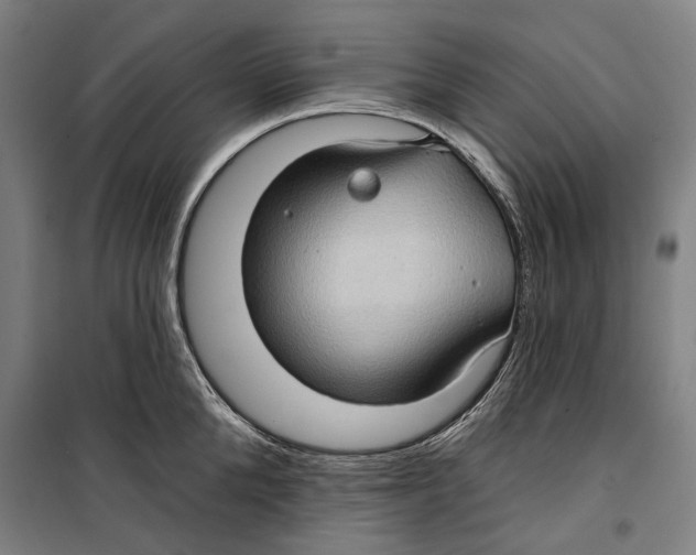 X0000099500904200806121413