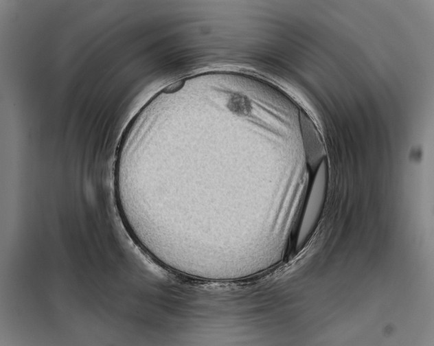 X0000099500906200806121413